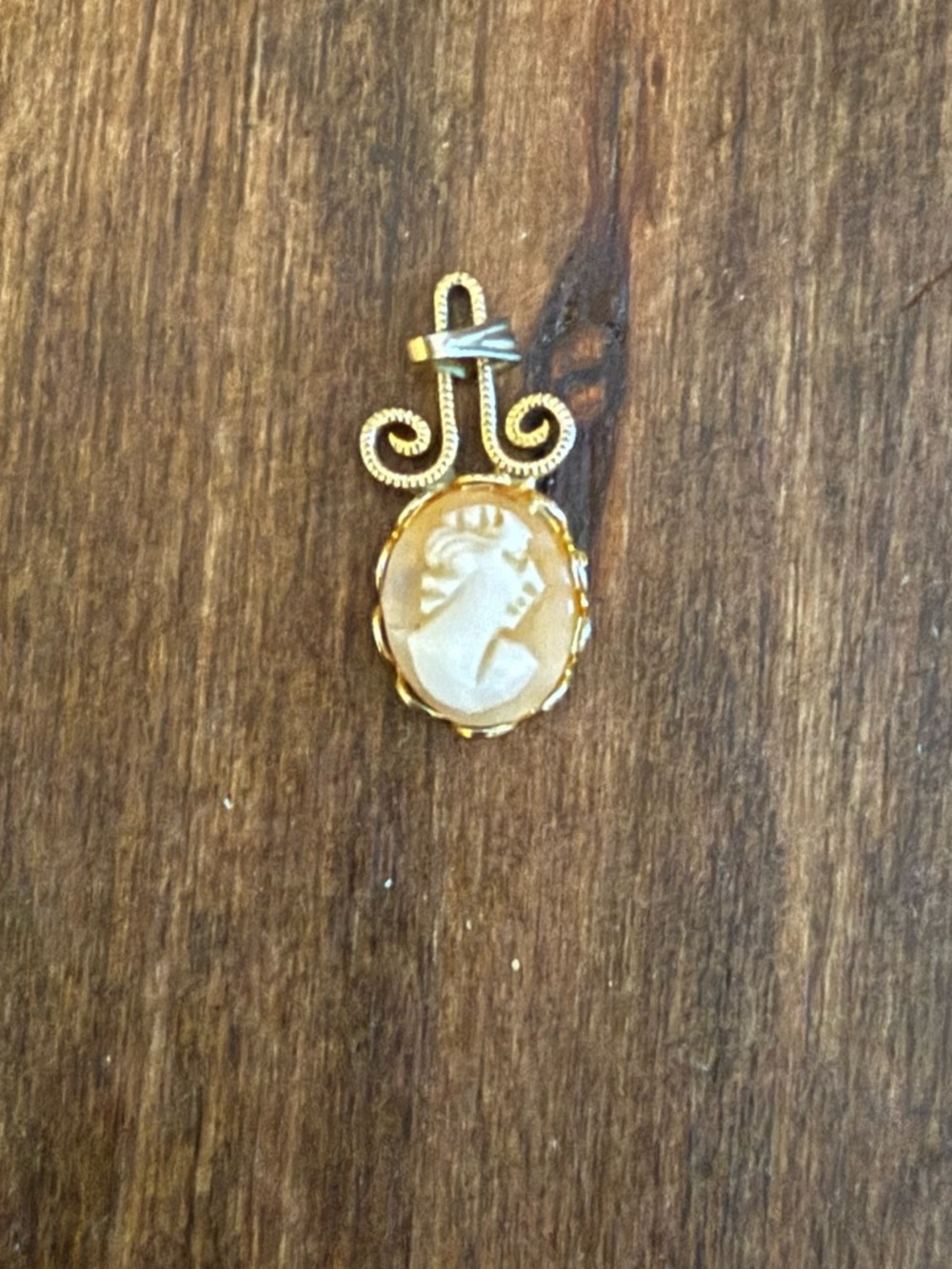 Vintage Victorian camo pendant.